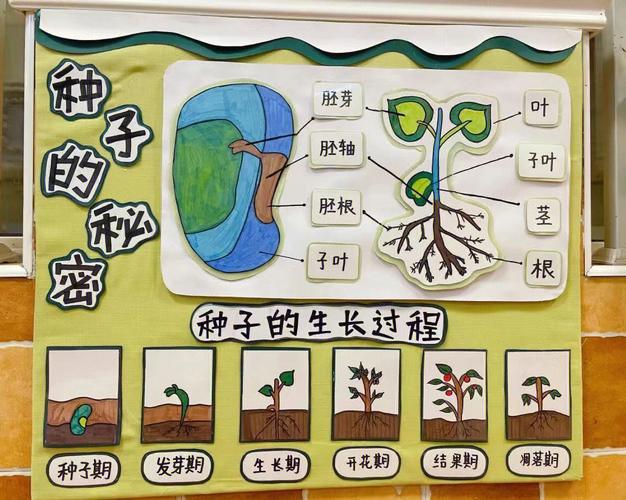 大自然中的植物与环境有什么关系（植物与自然环境关系图）-第3张图片-多多自然网