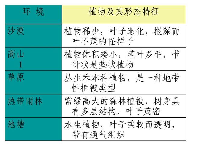 大自然中的植物与环境有什么关系（植物与自然环境关系图）-第5张图片-多多自然网