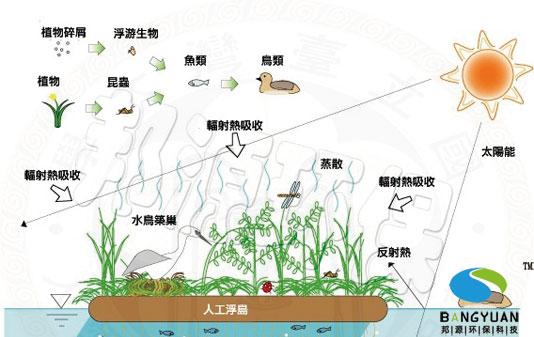 城市常见植物科普知识大全（城市植物景观）-第3张图片-多多自然网