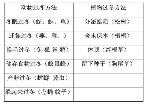 冰雪与植物生长的关系（冰雪与植物生长的关系有哪些）-第1张图片-多多自然网