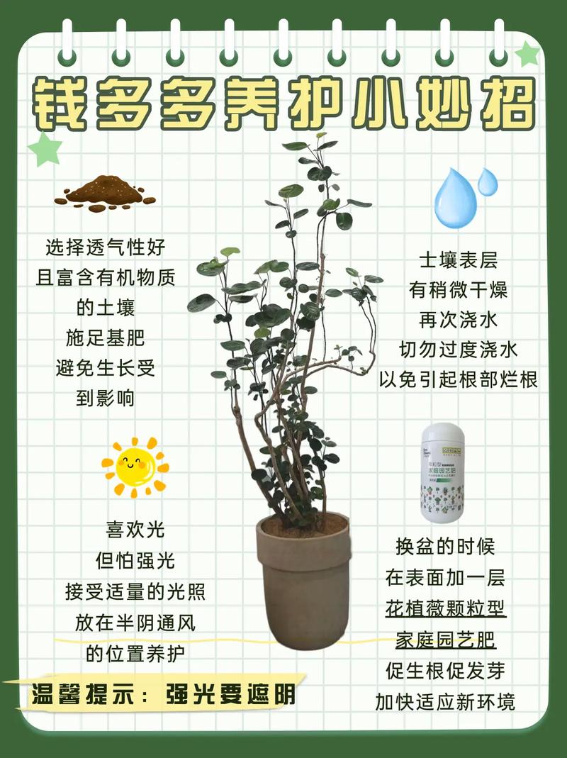 春季菊科植物养护知识内容（春季菊科植物养护知识内容怎么写）-第3张图片-多多自然网