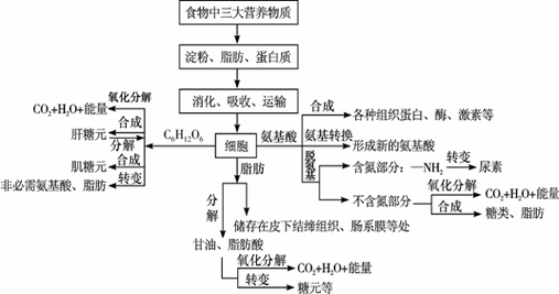 代谢与植物的关系（代谢与植物的关系图）-第1张图片-多多自然网