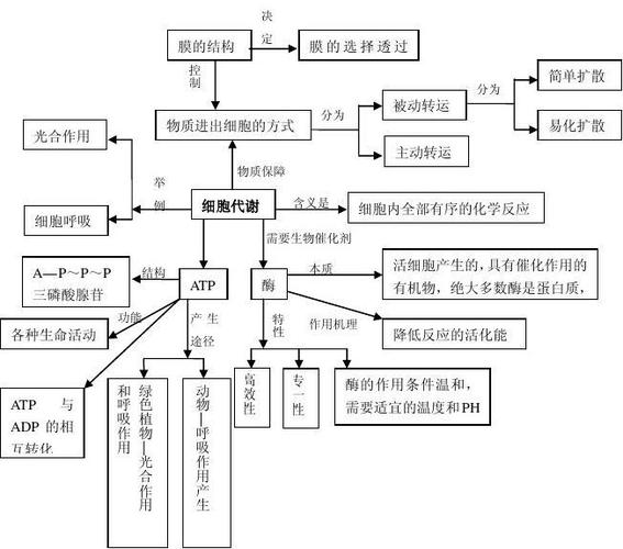 代谢与植物的关系（代谢与植物的关系图）-第5张图片-多多自然网