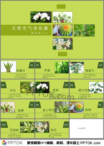 大气CO2与植物氮含量的关系（大气co2与植物氮含量的关系图）-第5张图片-多多自然网