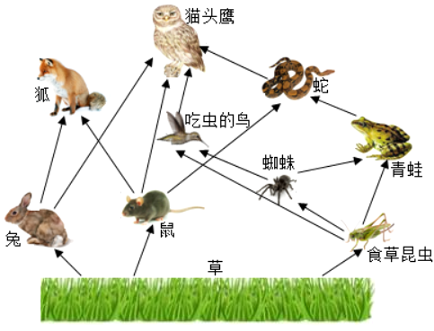 存在竞争关系的植物与细菌（存在竞争关系的生物）-第1张图片-多多自然网