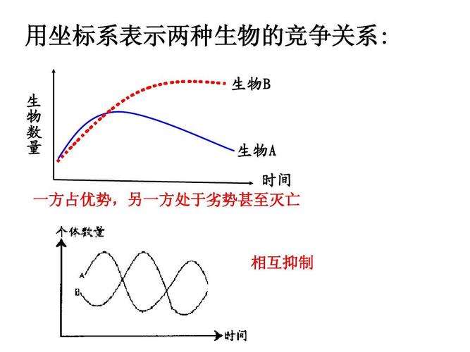 存在竞争关系的植物与细菌（存在竞争关系的生物）-第5张图片-多多自然网