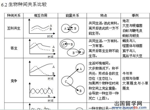 存在竞争关系的植物与细菌（存在竞争关系的生物）-第8张图片-多多自然网