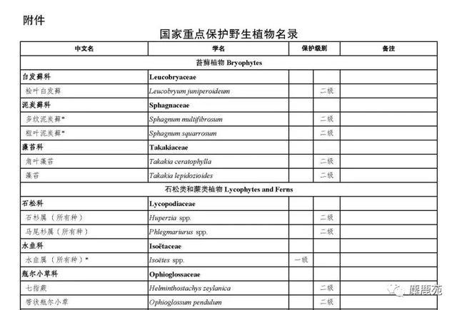 濒危植物与植物保护的关系（濒危植物与植物保护的关系是）-第3张图片-多多自然网