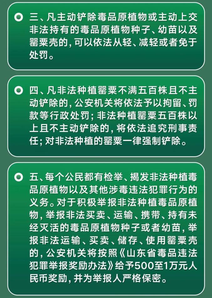 濒危植物与植物保护的关系（濒危植物与植物保护的关系是）-第4张图片-多多自然网