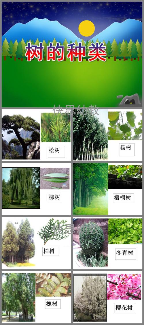 大树与植物的关系（大树与植物的关系是什么）-第4张图片-多多自然网