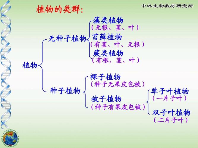 测一测植物知识（测一测植物知识大全）-第3张图片-多多自然网