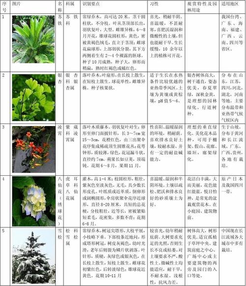 百科知识之植物普及（植物 科普）-第2张图片-多多自然网