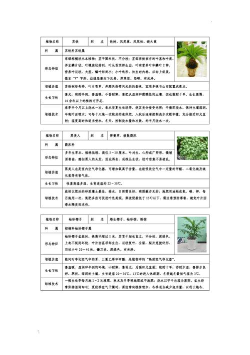 百科知识之植物普及（植物 科普）-第7张图片-多多自然网