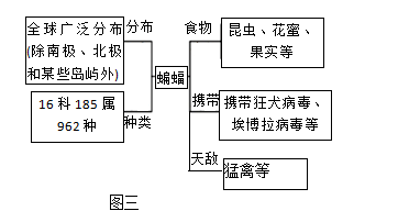 蝙蝠与植物间的关系（蝙蝠与植物间的关系有哪些）-第1张图片-多多自然网