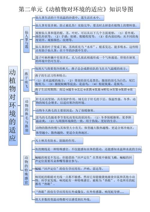 春天的植物科普小知识（春天植物介绍）-第2张图片-多多自然网