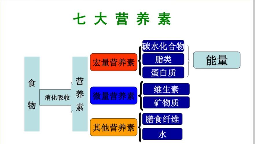 蛋白质代谢与植物的关系（植物蛋白和动物蛋白 代谢有区别?）-第8张图片-多多自然网