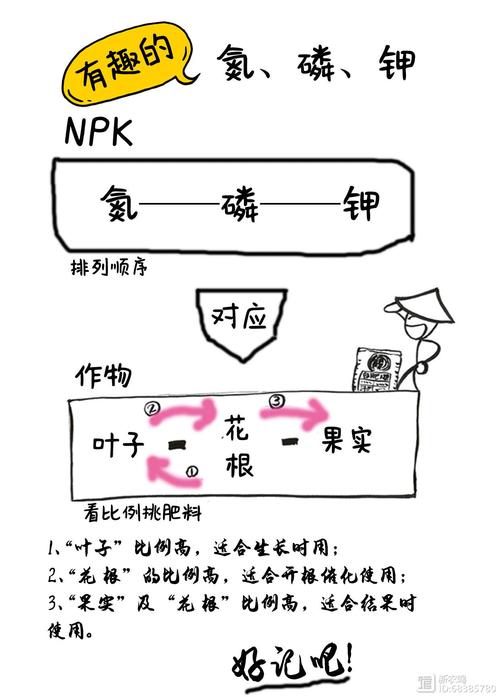 氮肥与植物生长的关系（氮肥有助于植物生根吗?）-第3张图片-多多自然网