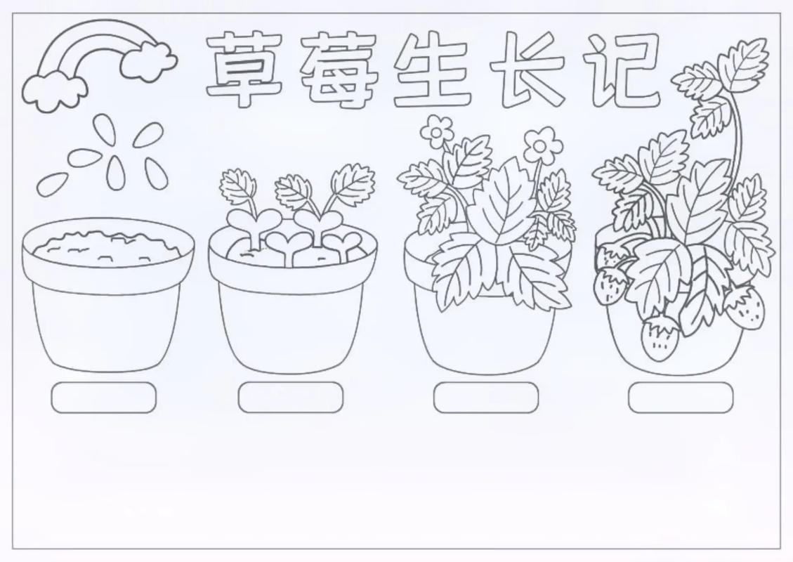 草莓植物小知识大全简短（草莓小科普）-第6张图片-多多自然网