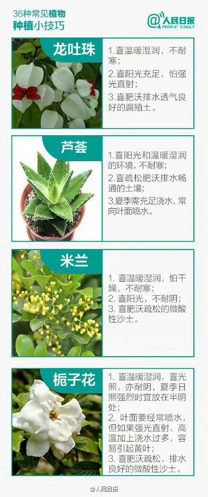 各植物的养护知识有哪些（各植物的养护知识有哪些内容）-第2张图片-多多自然网