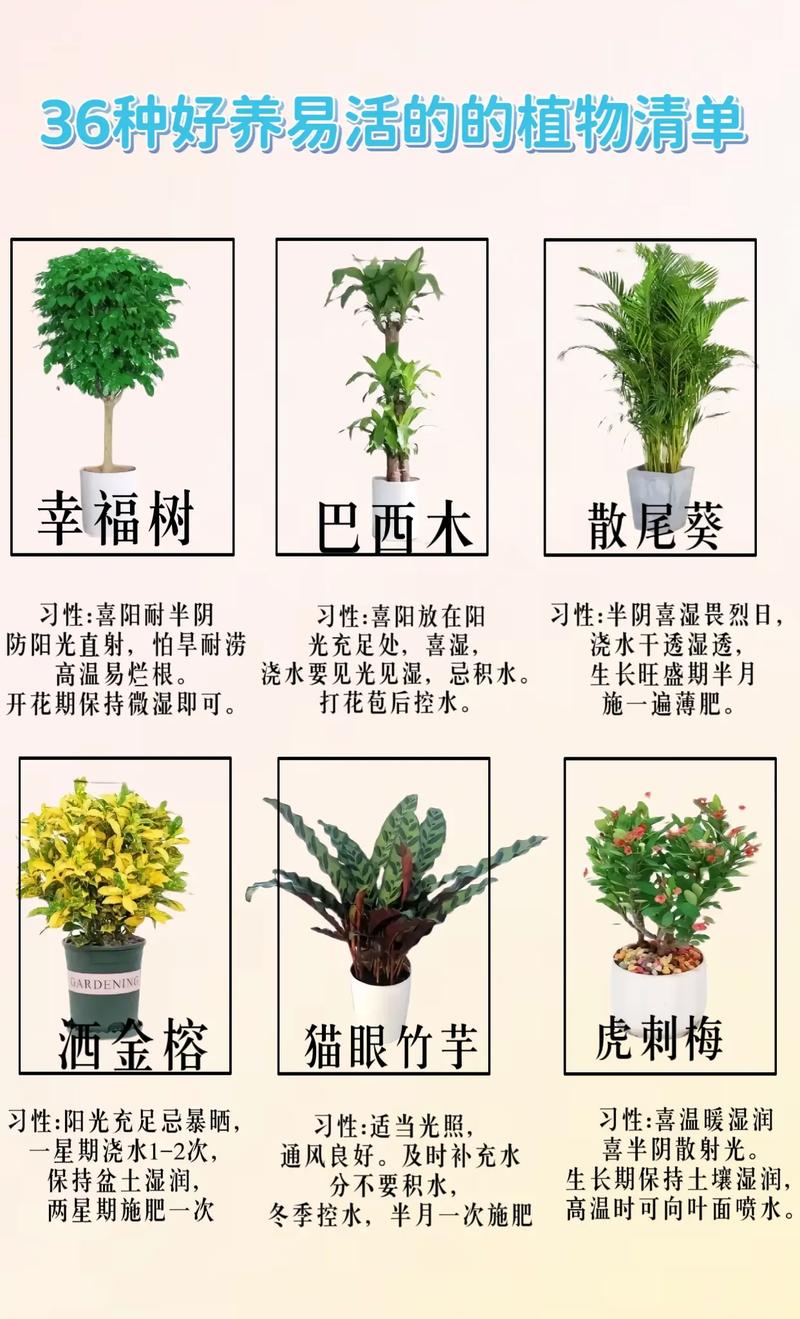 各植物的养护知识有哪些（各植物的养护知识有哪些内容）-第4张图片-多多自然网