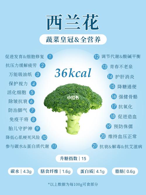 白屈菜植物百科知识（白屈菜的主治与禁忌）-第6张图片-多多自然网