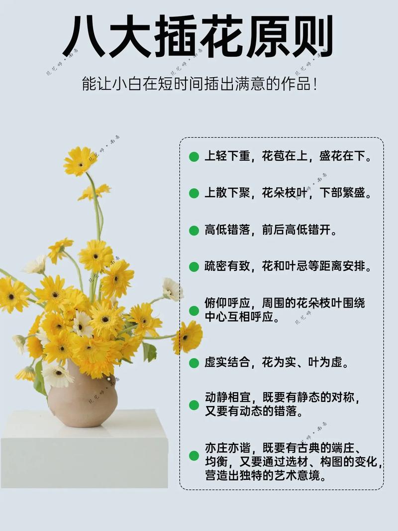 插花及常见植物养护知识（插花及常见植物养护知识点）-第1张图片-多多自然网