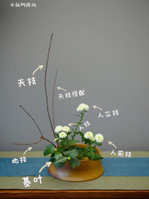 插花及常见植物养护知识（插花及常见植物养护知识点）-第2张图片-多多自然网