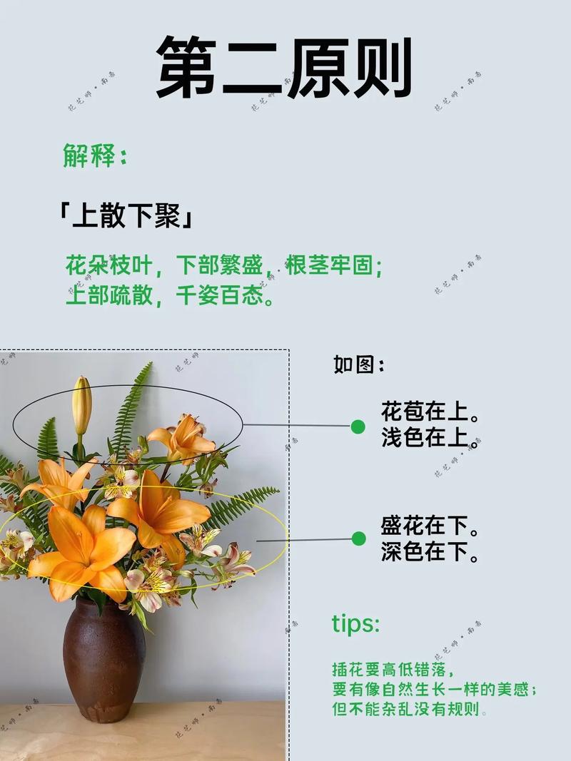 插花及常见植物养护知识（插花及常见植物养护知识点）-第5张图片-多多自然网