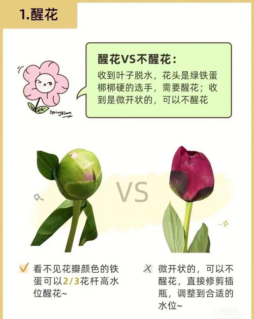 北方春季花境植物养护知识（北方春季花境植物养护知识大全）-第6张图片-多多自然网