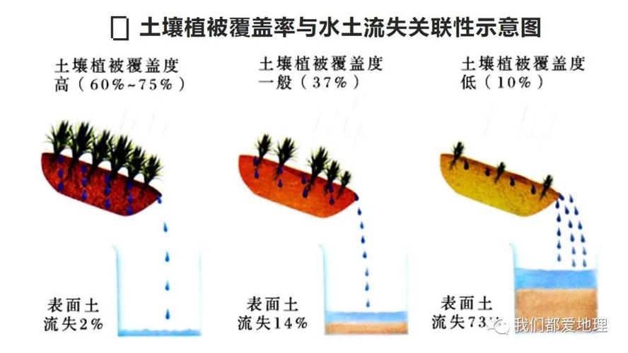 不同类型土壤与植物的关系（不同土壤对植物的影响）-第3张图片-多多自然网