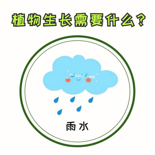 氮元素与植物生长的关系（氮元素参与植物的整个生命周期）-第8张图片-多多自然网