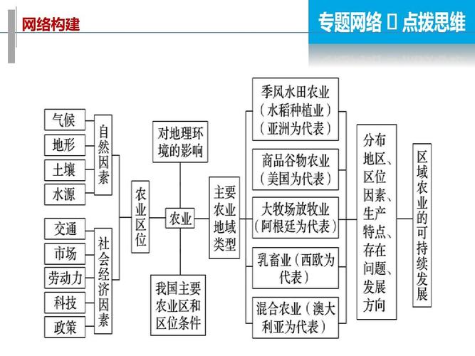 草原烟植物百科知识大全（草原烟标）-第5张图片-多多自然网