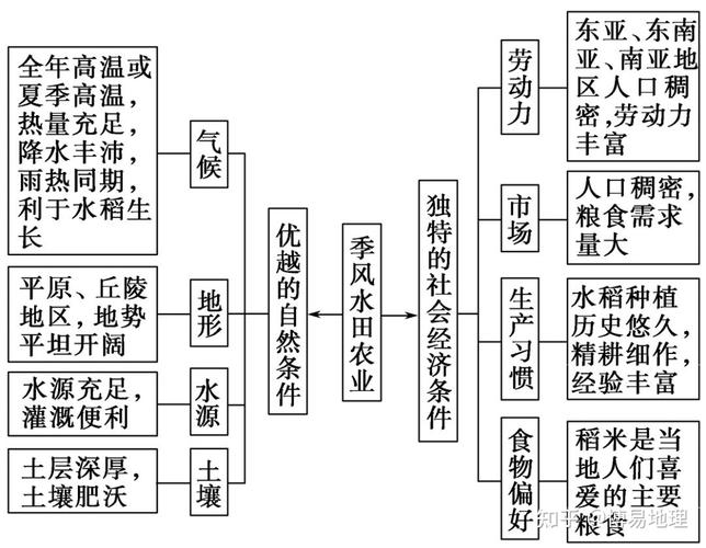 草原烟植物百科知识大全（草原烟标）-第7张图片-多多自然网