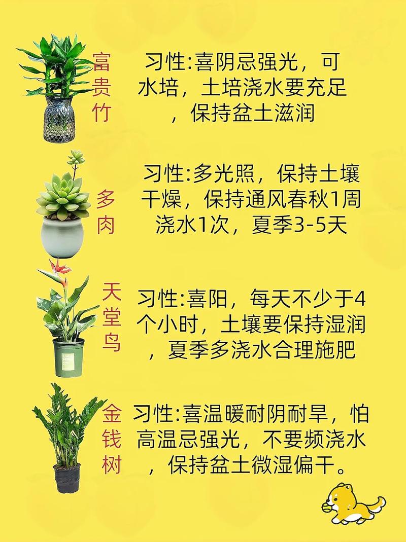 春天的植物种植知识（春天的植物种植知识有哪些）-第5张图片-多多自然网