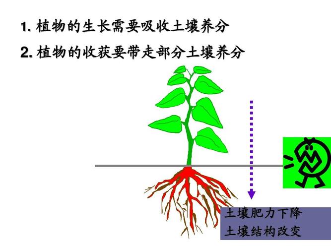 草地植物与环境的关系（草地植物生活型与环境的关系）-第7张图片-多多自然网