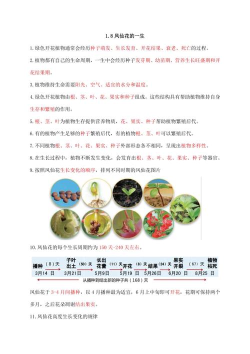 冬天绿色植物养护知识大全（冬天绿植的养护）-第5张图片-多多自然网