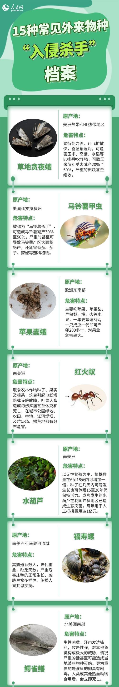 本土植物与外来植物的关系（什么是本土植物）-第2张图片-多多自然网