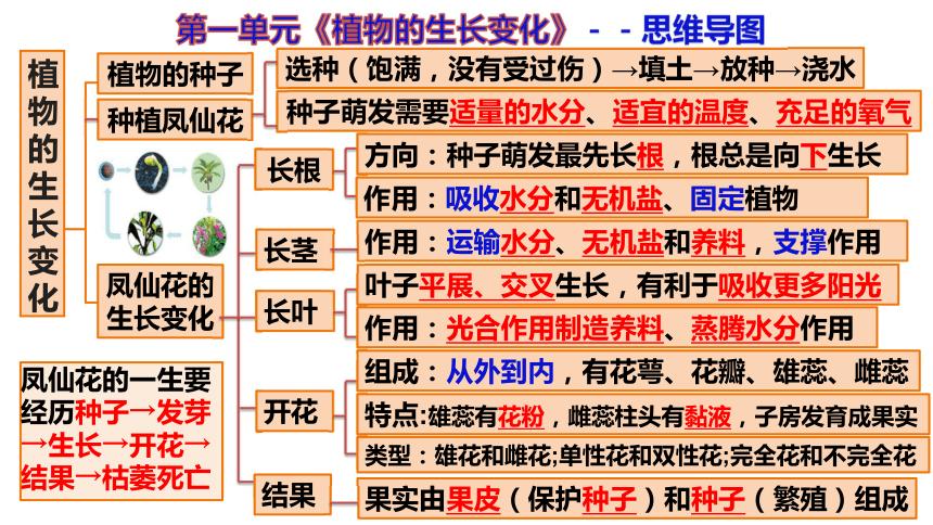 成人植物百科知识大全（成人植物百科知识大全图片）-第3张图片-多多自然网