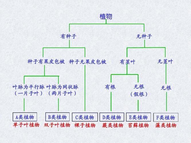 孢子类植物百科知识（孢子植物种类）-第3张图片-多多自然网