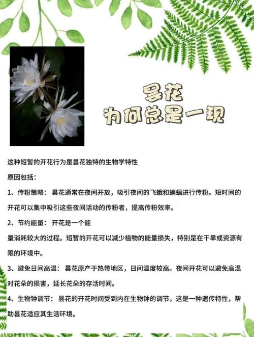 草本植物冷知识（草本植物20种）-第1张图片-多多自然网