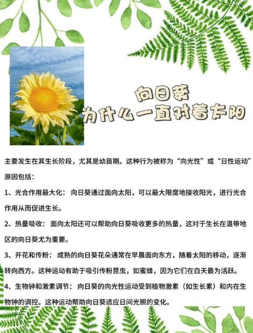 草本植物冷知识（草本植物20种）-第3张图片-多多自然网