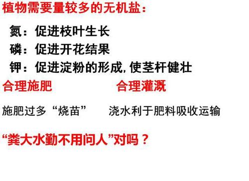 氮磷钾与植物的关系（关于氮磷钾对植物的影响成果简介）-第4张图片-多多自然网