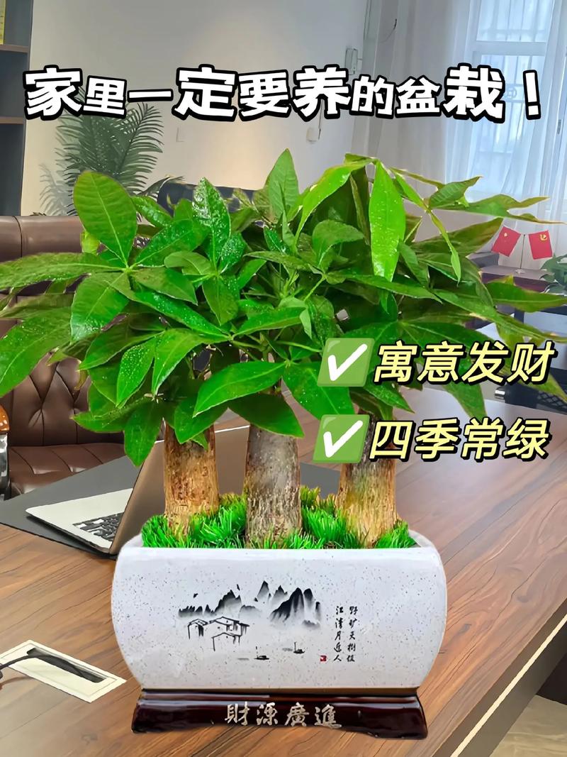 冬季粗杆绿植怎么养护好（冬季粗杆绿植怎么养护好呢）-第4张图片-多多自然网