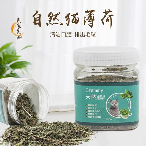 薄荷植物与猫咪的关系（猫薄荷和猫的关系）-第2张图片-多多自然网