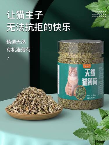 薄荷植物与猫咪的关系（猫薄荷和猫的关系）-第8张图片-多多自然网