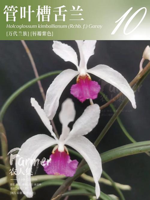 冬天养护植物小知识（冬天养护植物小知识大全）-第2张图片-多多自然网