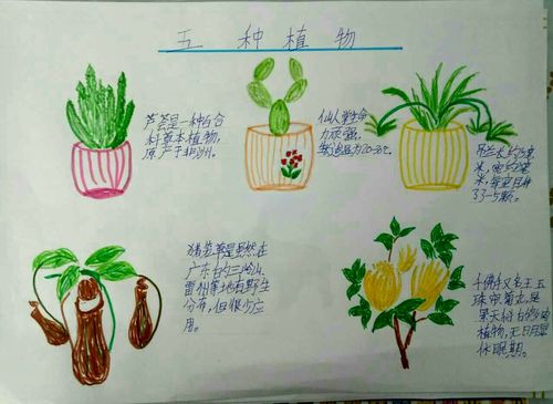 常见植物有趣知识大全（常见植物有趣知识大全图解）-第2张图片-多多自然网