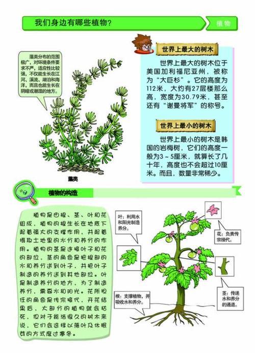 常见植物有趣知识大全（常见植物有趣知识大全图解）-第8张图片-多多自然网