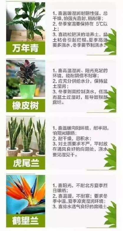 观赏植物养护知识（观赏植物养护知识点总结）-第3张图片-多多自然网