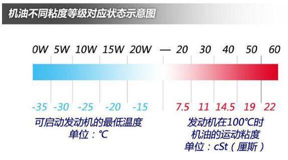 不同植物出油率与价值的关系（油作物出油率）-第7张图片-多多自然网